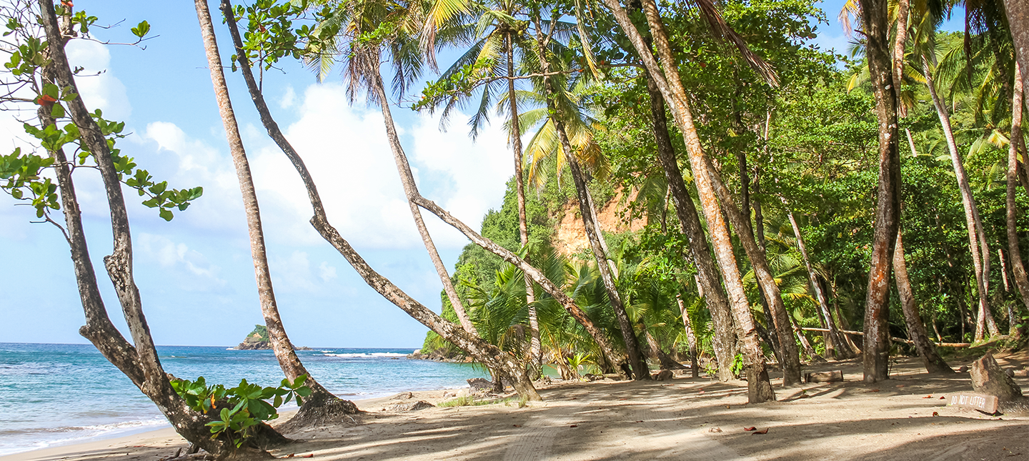 Dominica beach