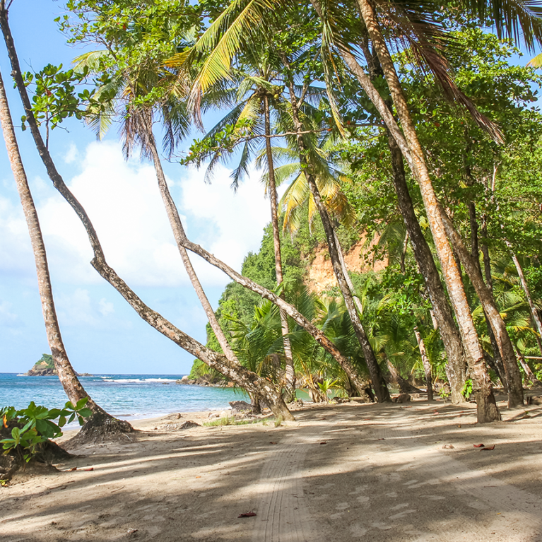 Dominica beach