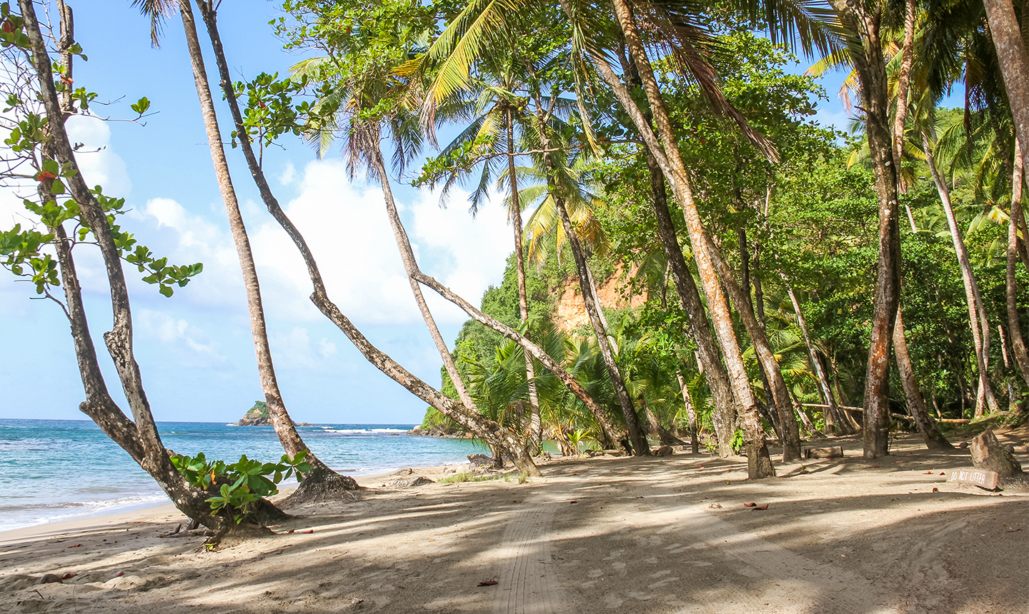 Dominica beach